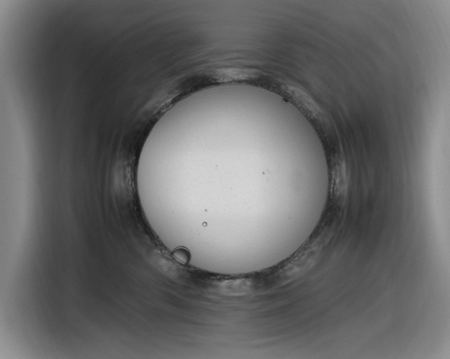 X0000116270426200912071046