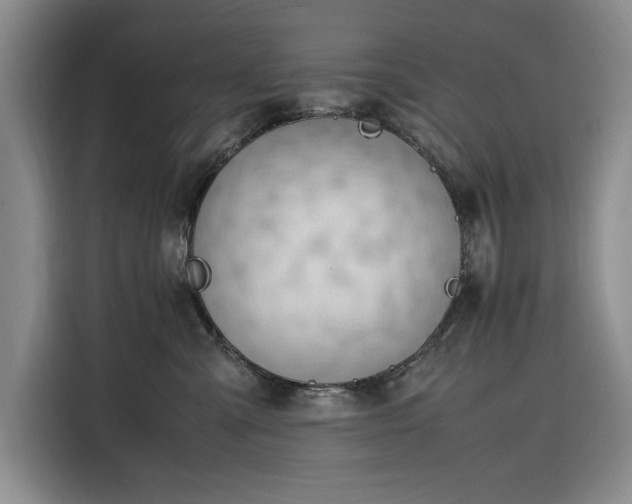 X0000116270427200912071046