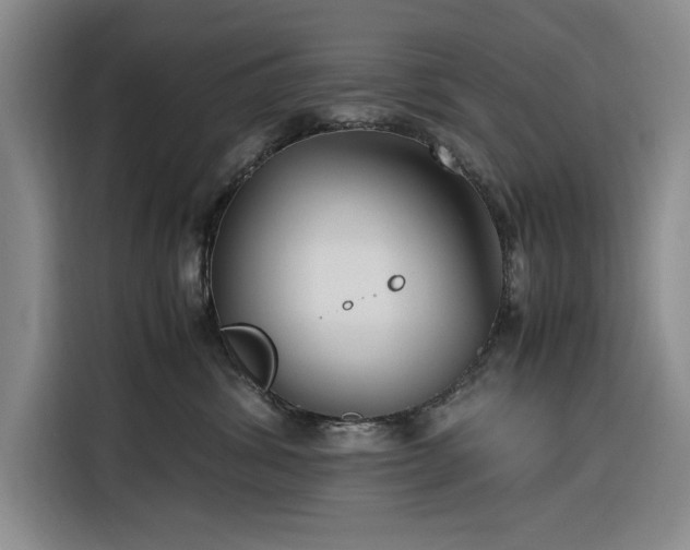 X0000116270428200912071046
