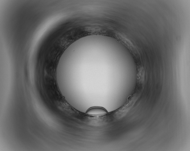 X0000116270430200912071046