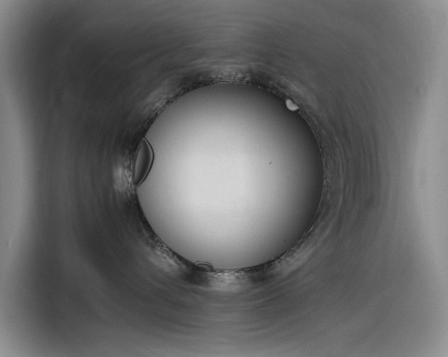X0000116270432200912071046