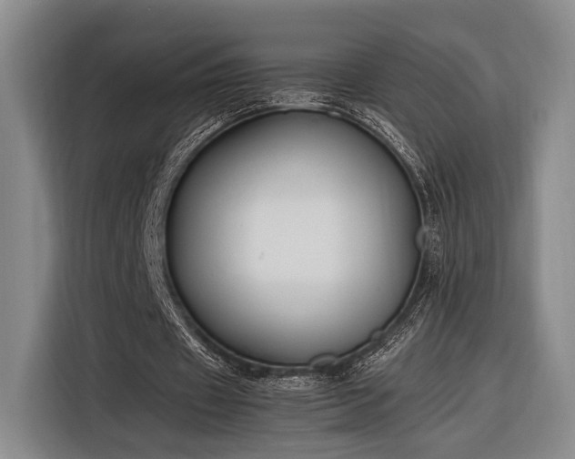 X0000116270433200912071045