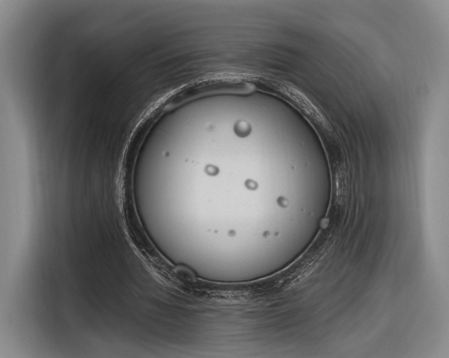 X0000116270436200912071045