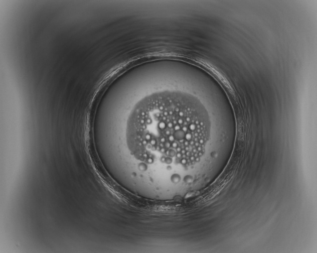 X0000116270437200912071045