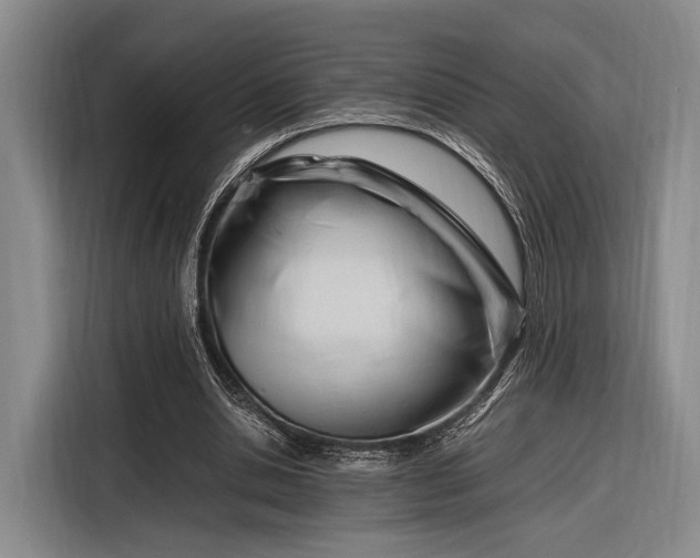 X0000116270438200912071045