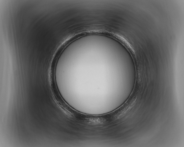 X0000116270439200912071045