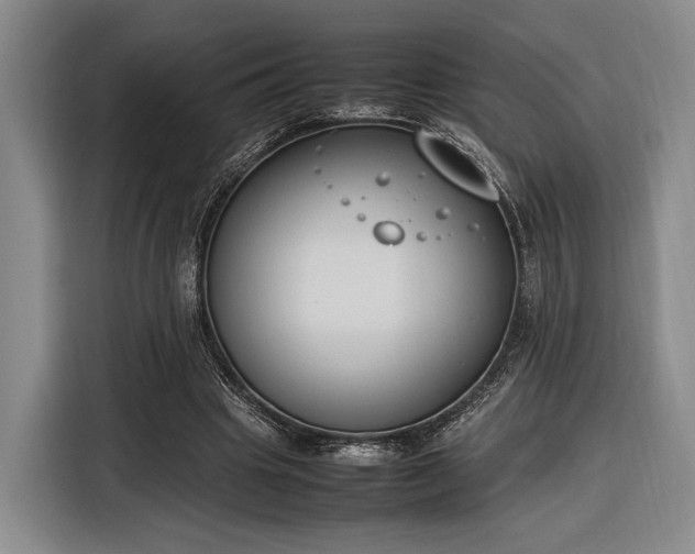 X0000116270441200912071045