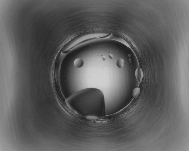 X0000116270443200912071045