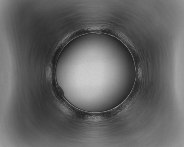 X0000116270444200912071045