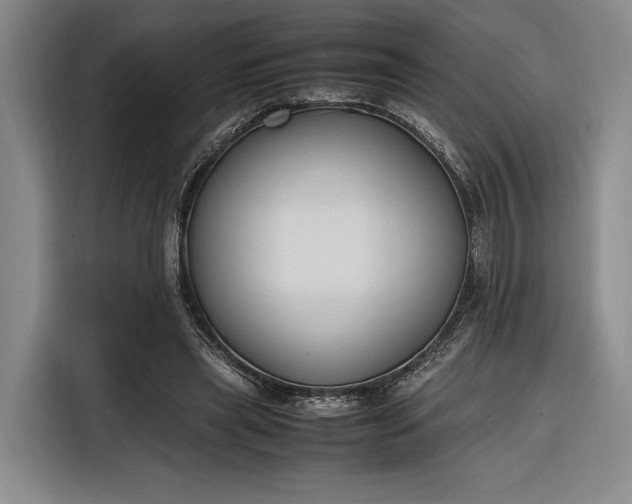 X0000116270445200912071045