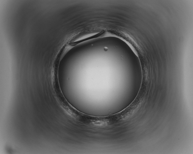 X0000116270447200912071045