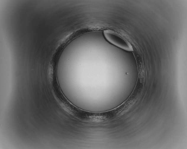 X0000116270448200912071045
