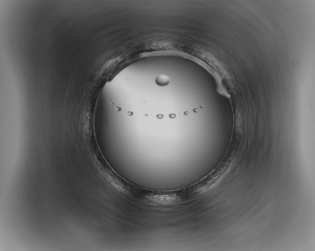 X0000116270449200912071045