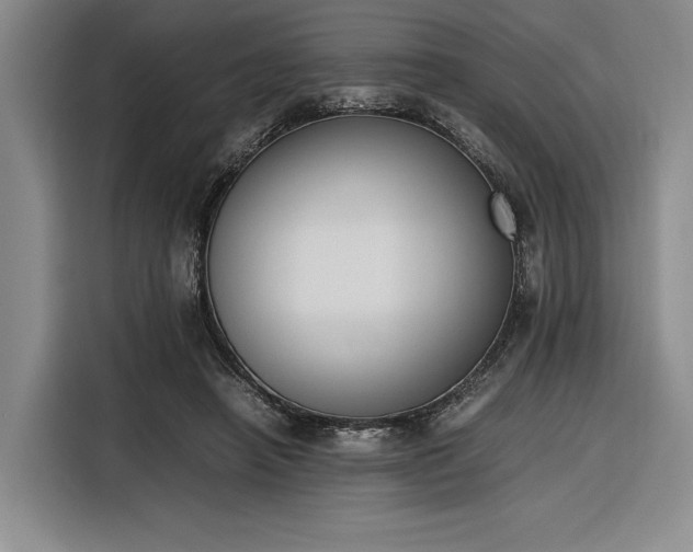 X0000116270450200912071045