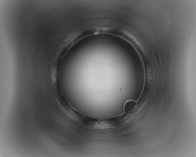X0000116270451200912071046