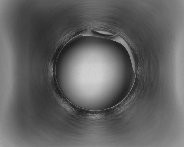 X0000116270454200912071046