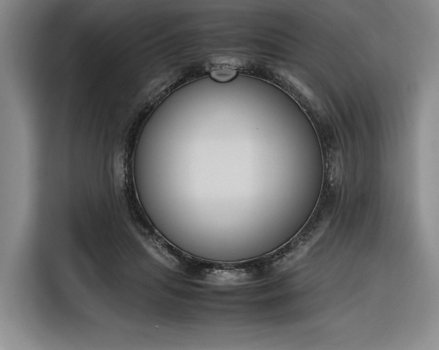 X0000116270455200912071046