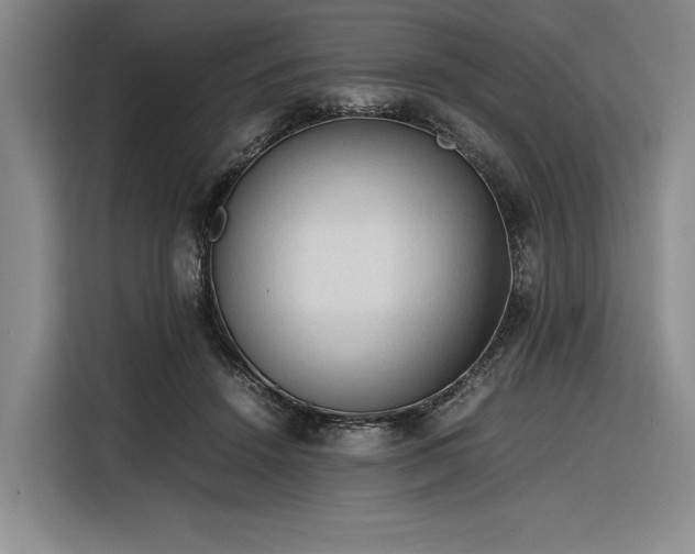 X0000116270456200912071046
