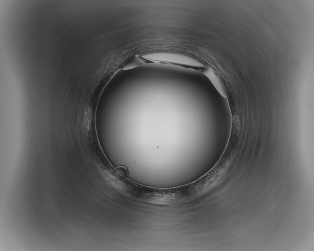 X0000116270458200912071046