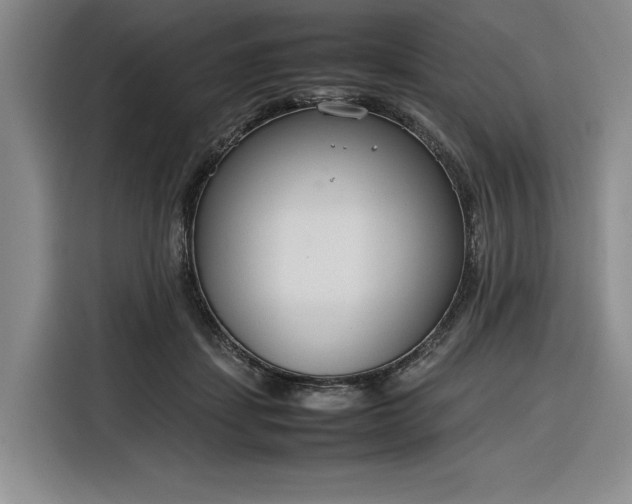 X0000116270459200912071046