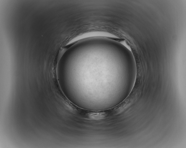 X0000116270465200912071046