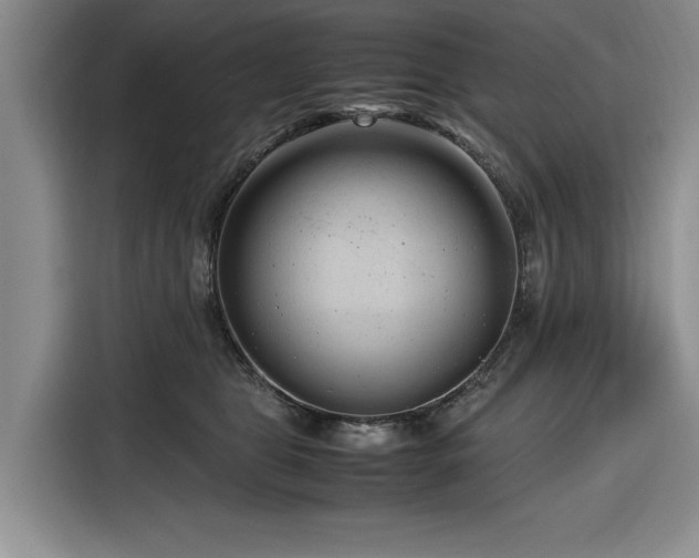 X0000116270469200912071046