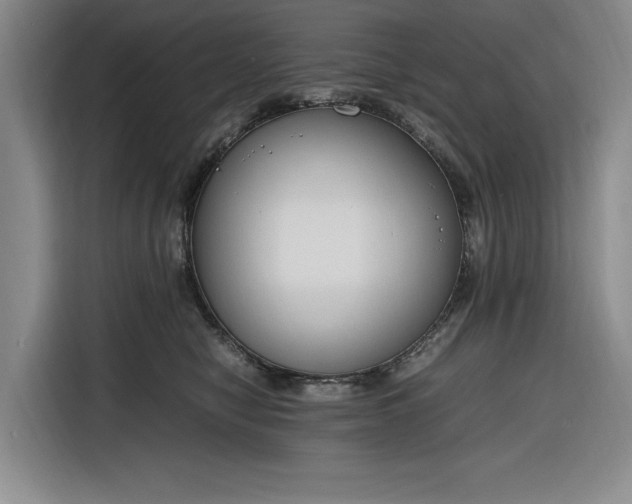 X0000116270470200912071046