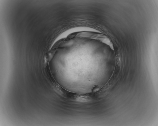 X0000116270471200912071046