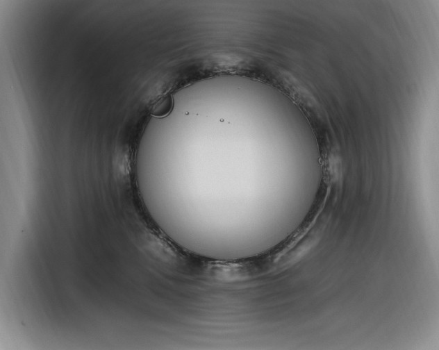 X0000116270472200912071046