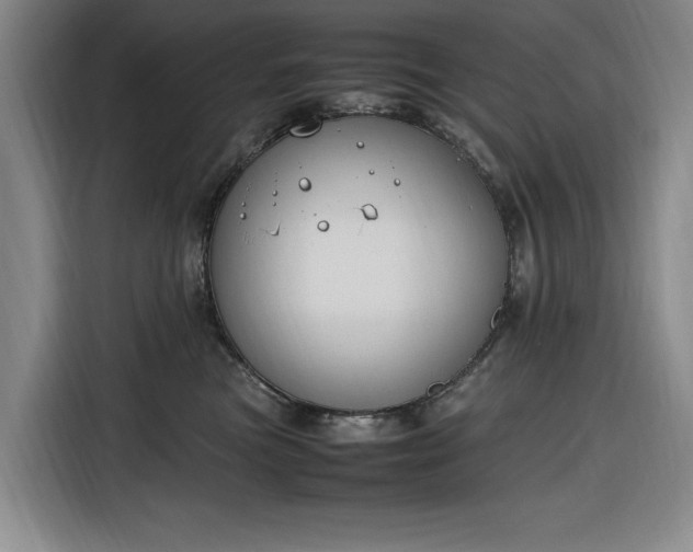 X0000116270473200912071046