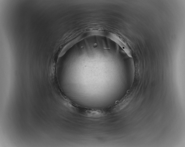 X0000116270475200912071046