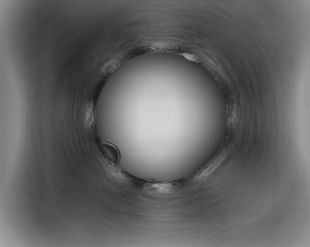 X0000116270478200912071046