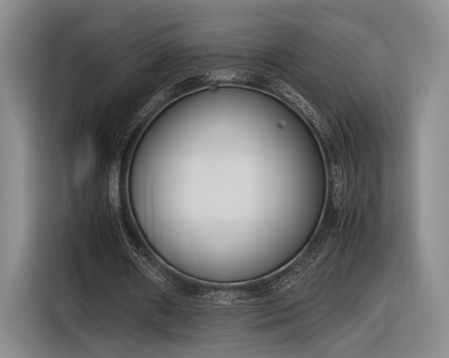 X0000116270482200912071045