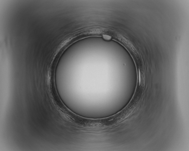X0000116270483200912071045
