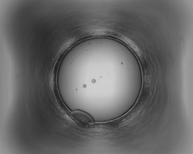 X0000116270485200912071045