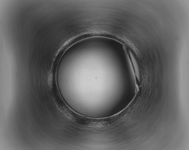X0000116270488200912071045