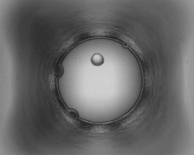 X0000116270489200912071045