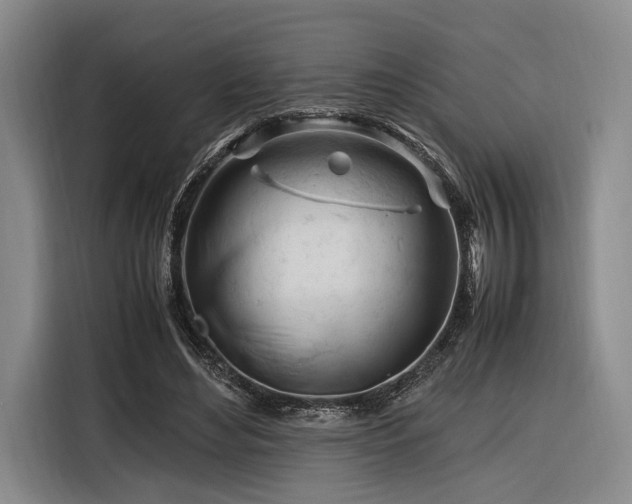 X0000116270492200912071045