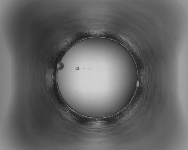 X0000116270495200912071045