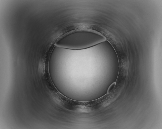 X0000116270496200912071045