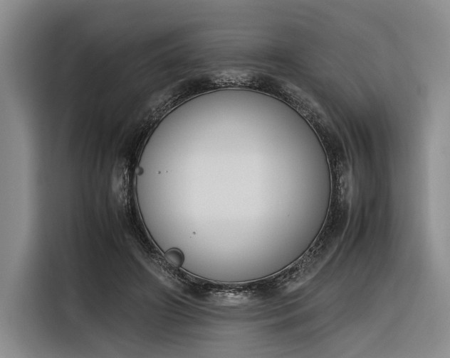 X0000116270498200912071045