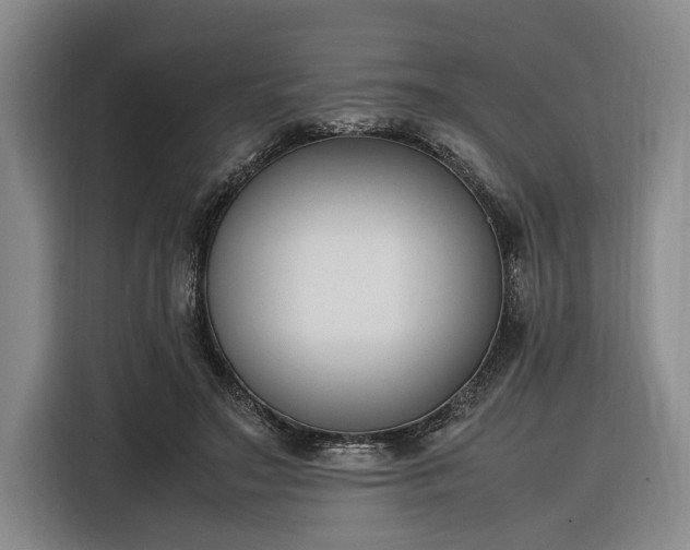 X0000116270499200912071045
