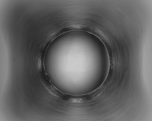 X0000116270500200912071045