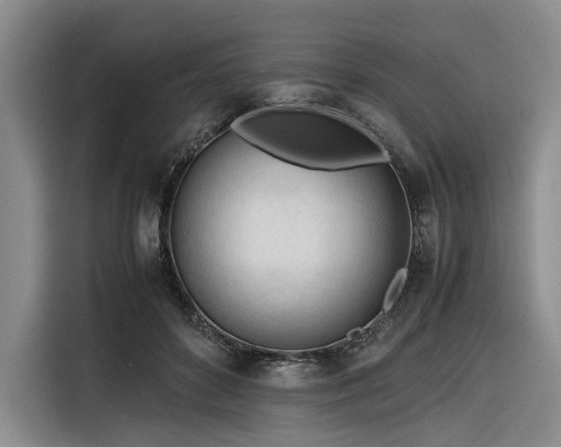 X0000116270504200912071045