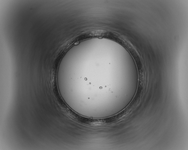 X0000116270505200912071045