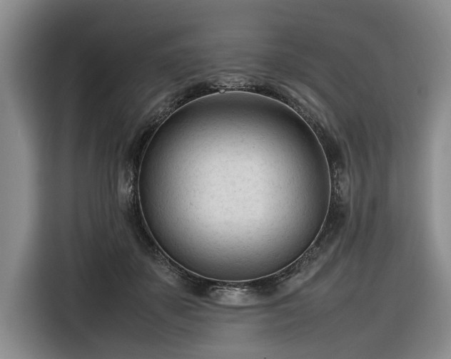 X0000116270507200912071045