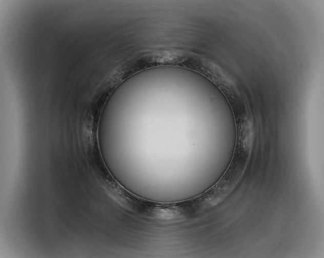 X0000116270510200912071045