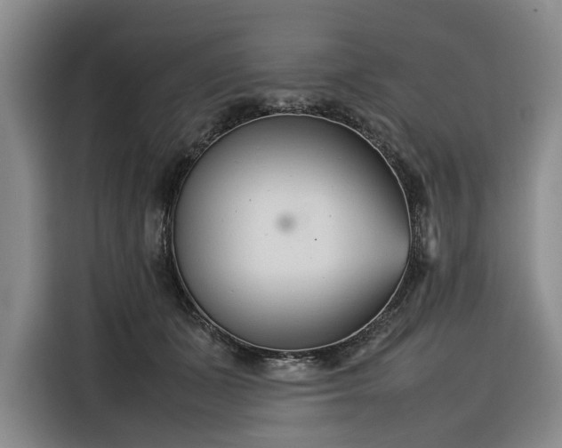 X0000116270511200912071045