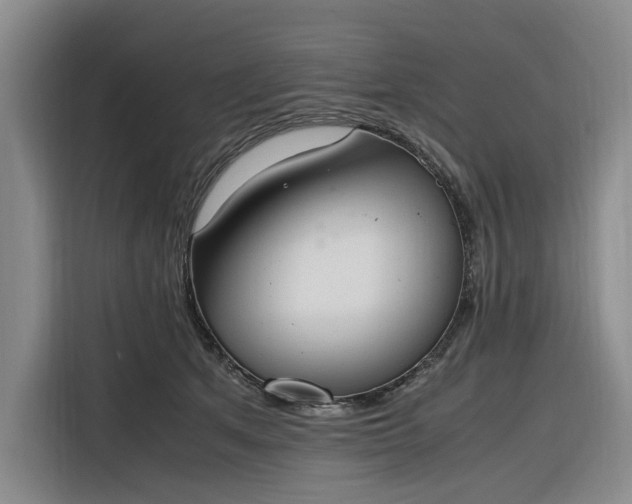 X0000116270513200912071045