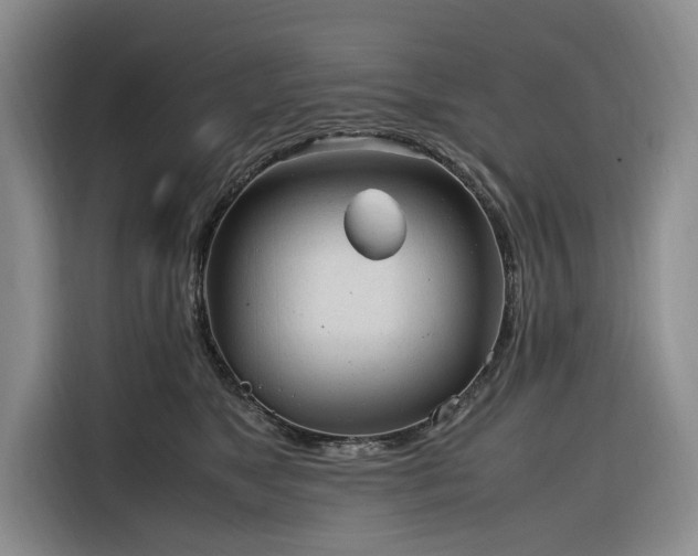 X0000116270517200912071045
